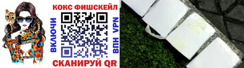 Купить закладки  Мончегорск  COCAIN 99% 