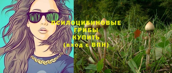 spice Заводоуковск
