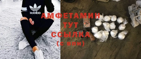 гидра Елабуга